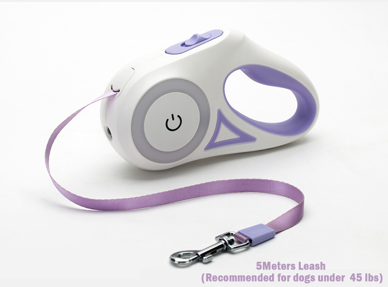Purple leash