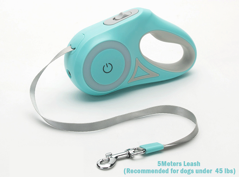 Teal leash